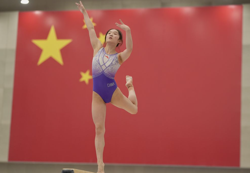 乐鱼体育app官网安全使用指南